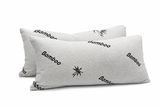 2 Piece Bamboo Pillows